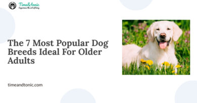 The 7 Most Popular Dog Breeds Ideal For Older Adults