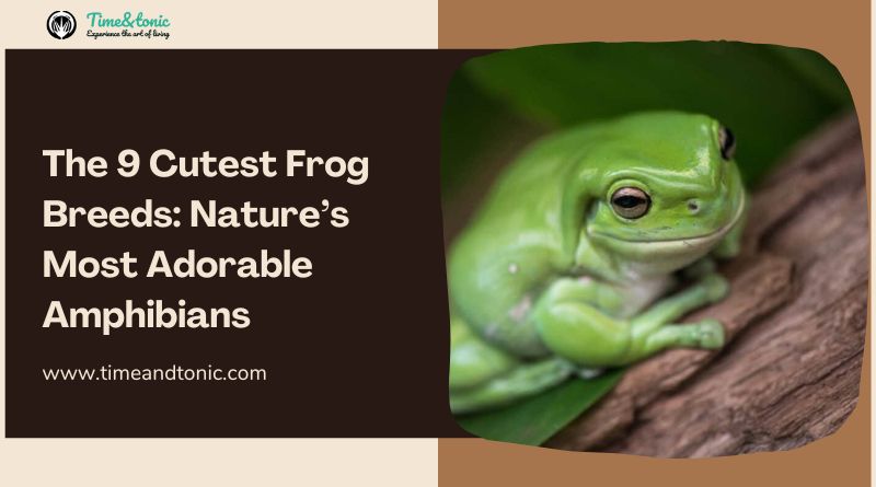 Cutest Frog Breeds