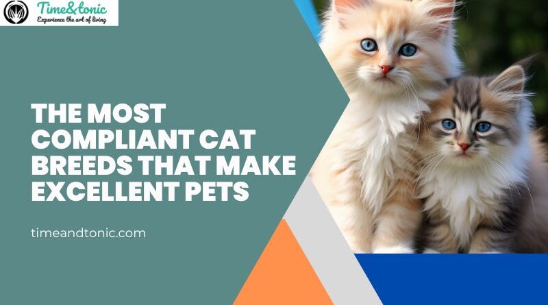 Most Compliant Cat Breeds