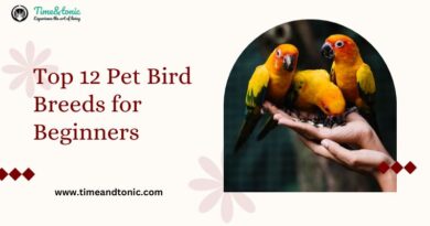 Top 12 Pet Bird Breeds for Beginners