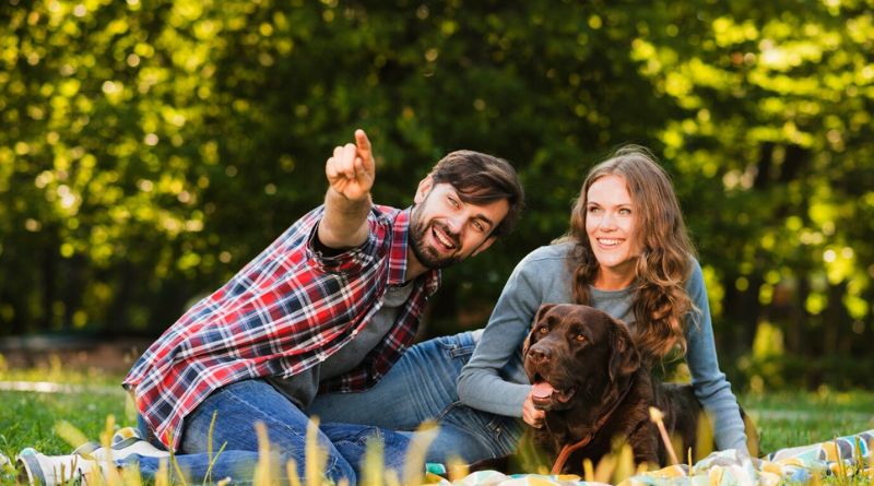 Top 10 Best Family Dogs Your Perfect Canine Companion Awaits